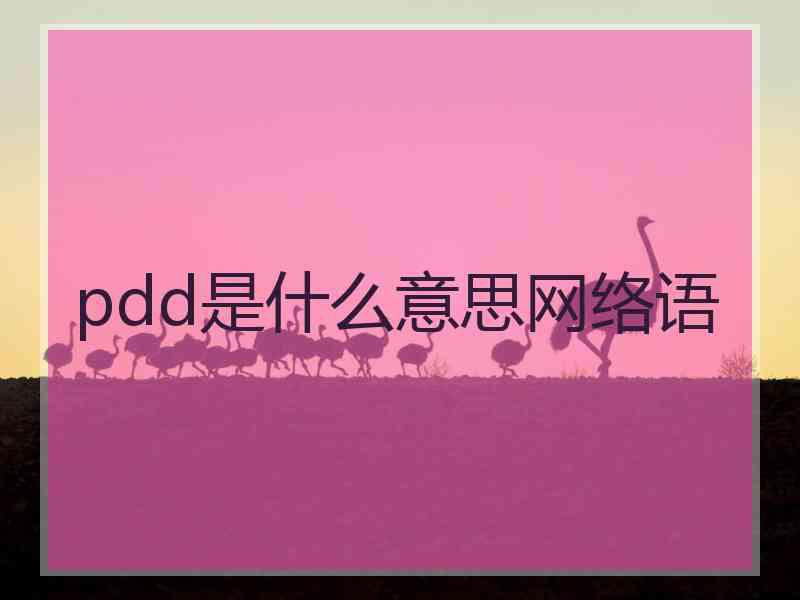 pdd是什么意思网络语