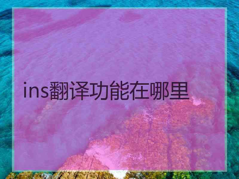 ins翻译功能在哪里