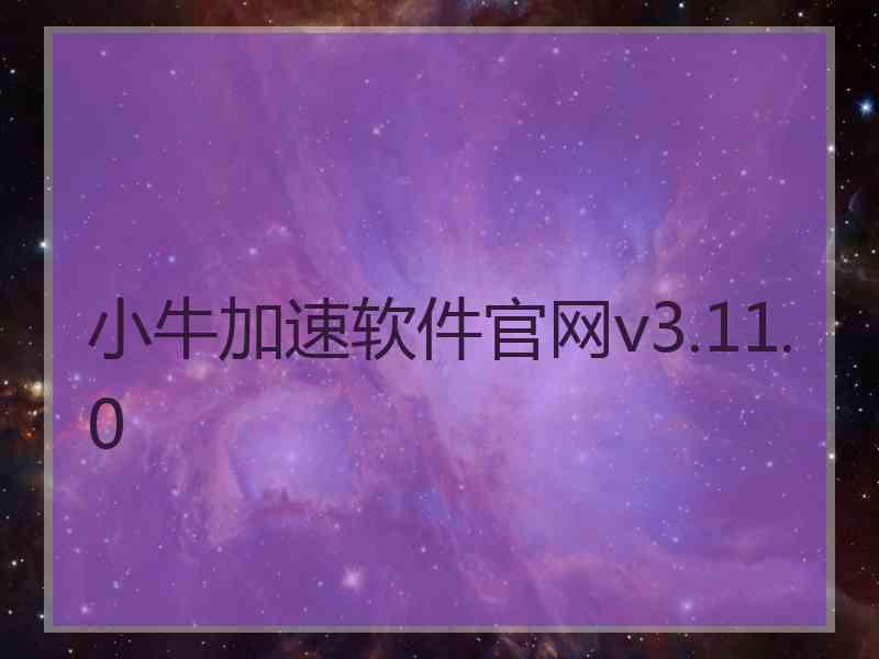 小牛加速软件官网v3.11.0