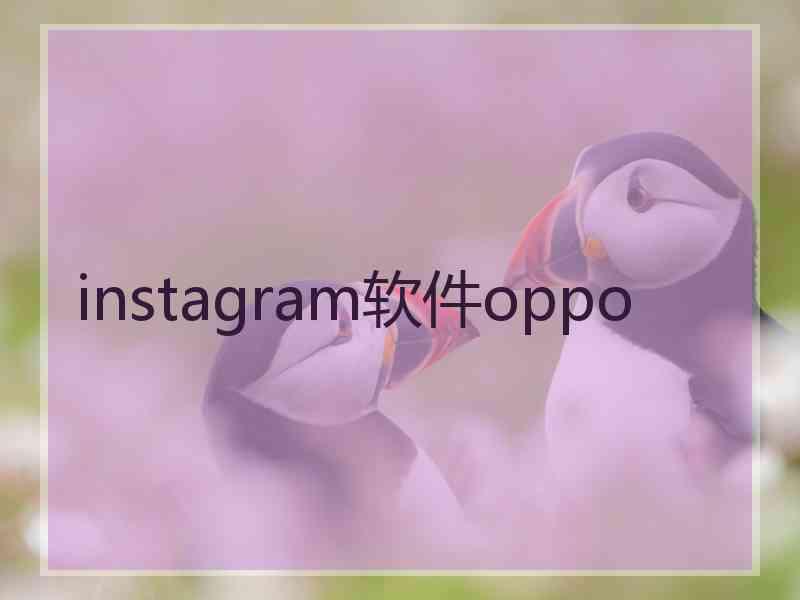 instagram软件oppo