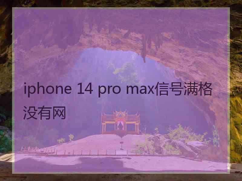 iphone 14 pro max信号满格没有网