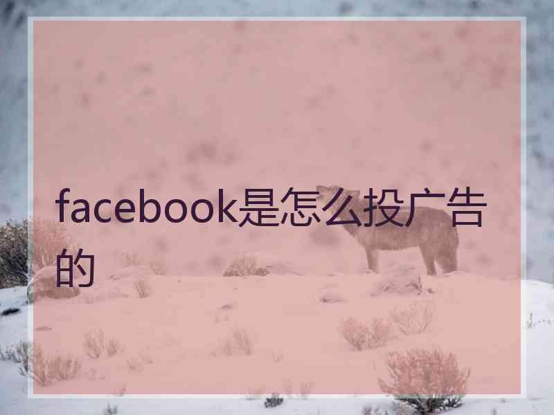 facebook是怎么投广告的