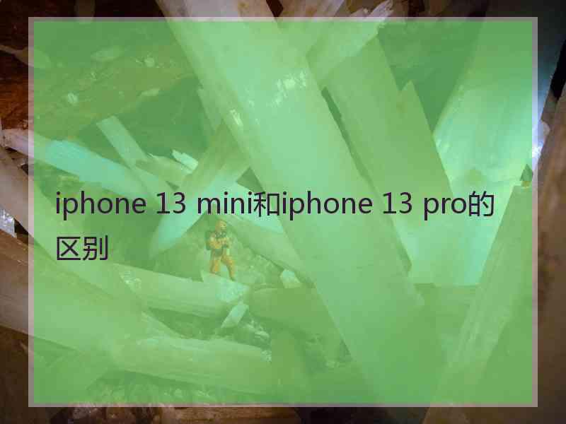 iphone 13 mini和iphone 13 pro的区别