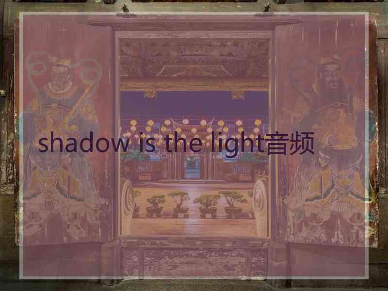 shadow is the light音频