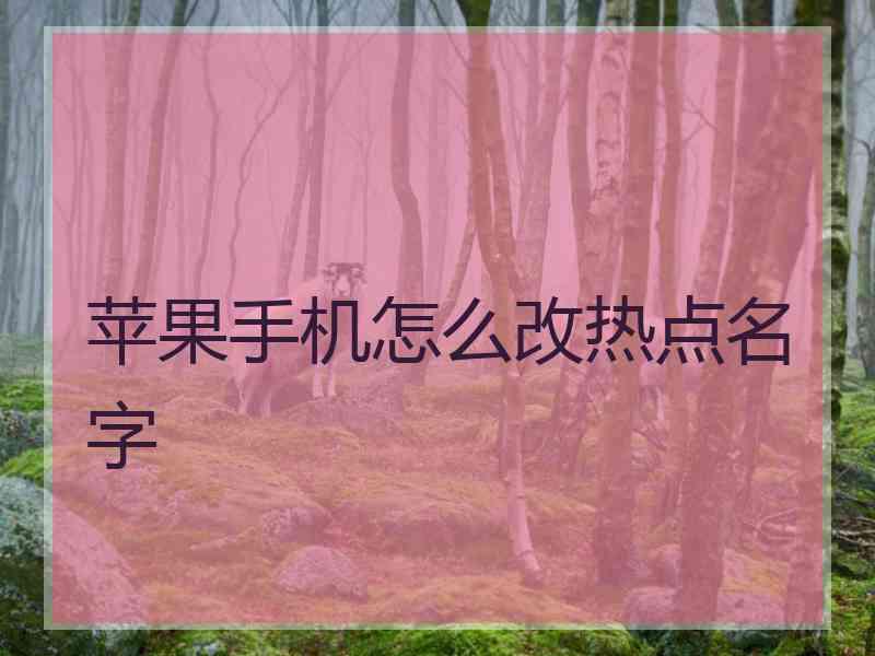 苹果手机怎么改热点名字