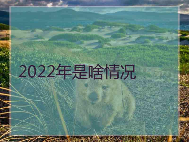 2022年是啥情况