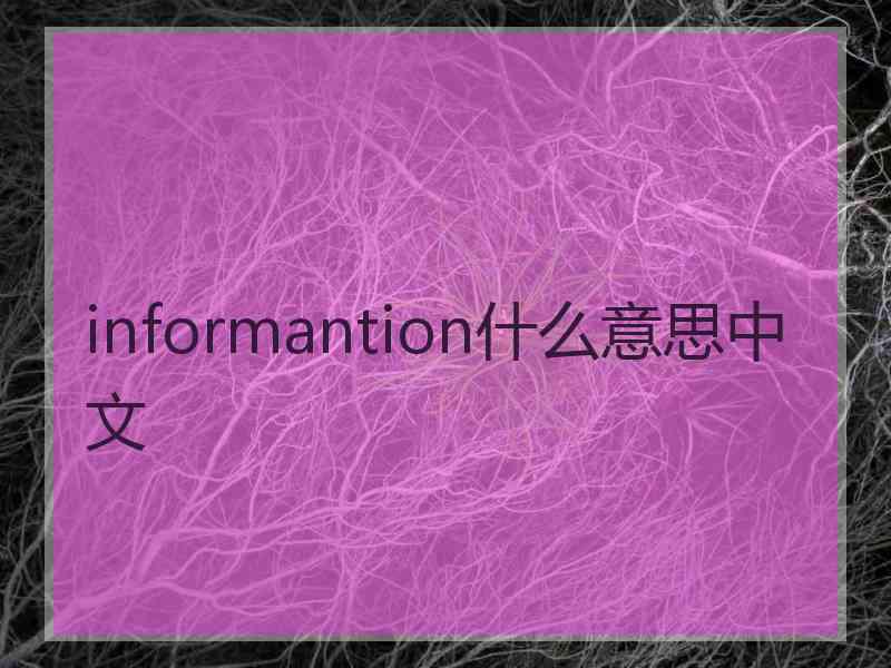 informantion什么意思中文