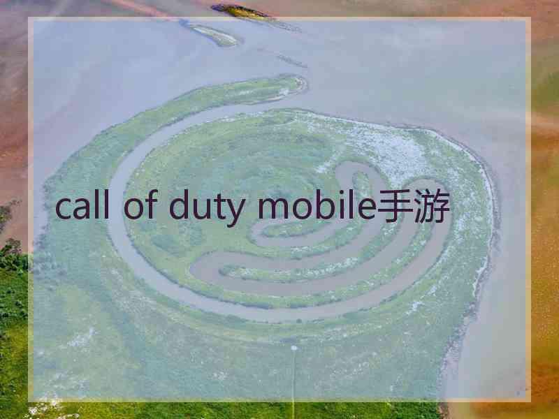 call of duty mobile手游