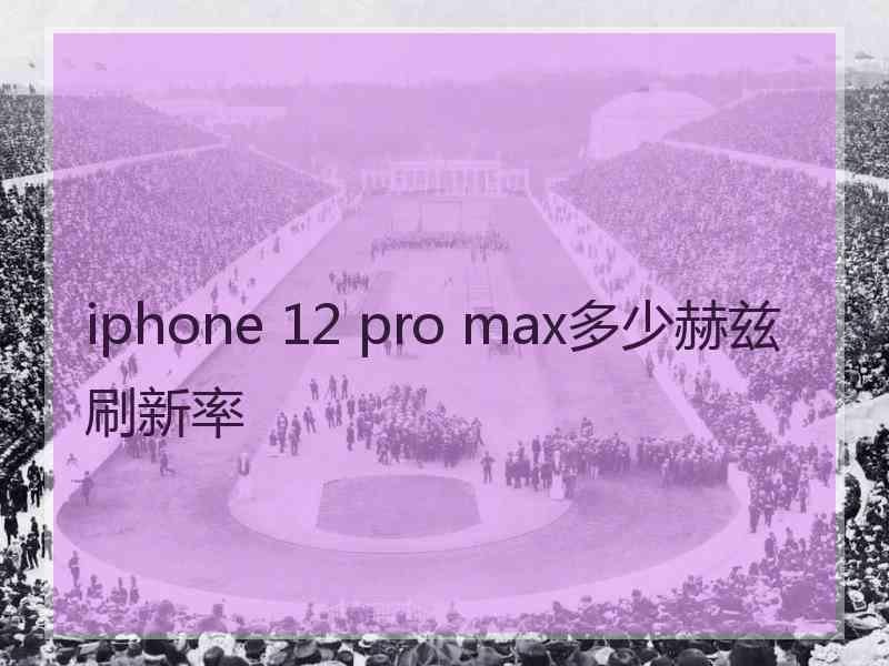 iphone 12 pro max多少赫兹刷新率