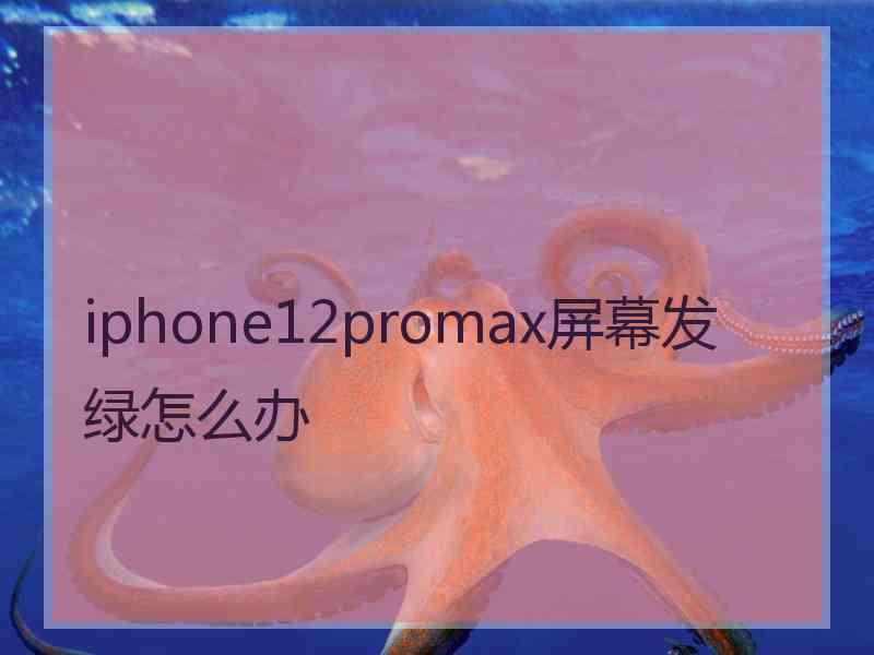 iphone12promax屏幕发绿怎么办