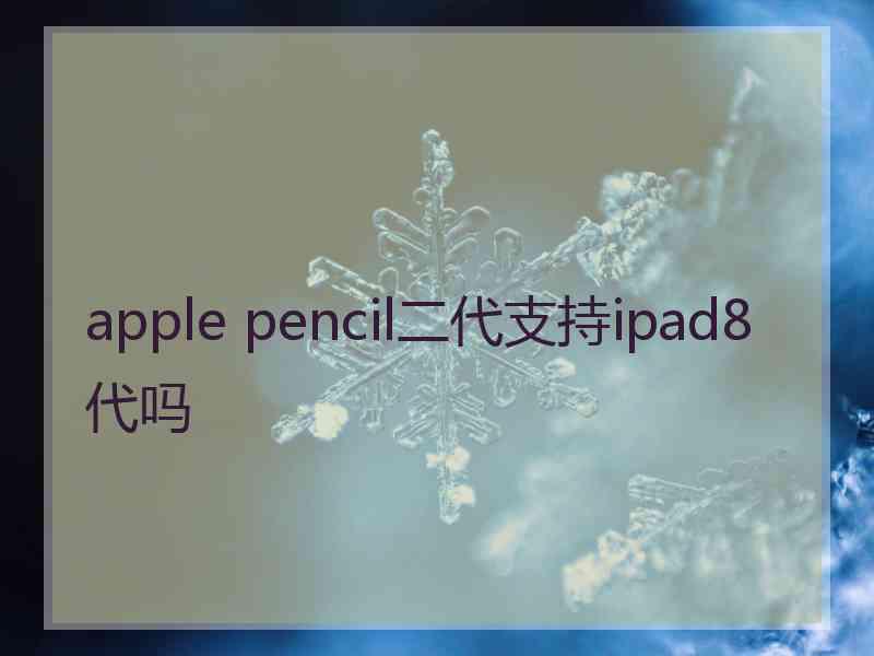 apple pencil二代支持ipad8代吗