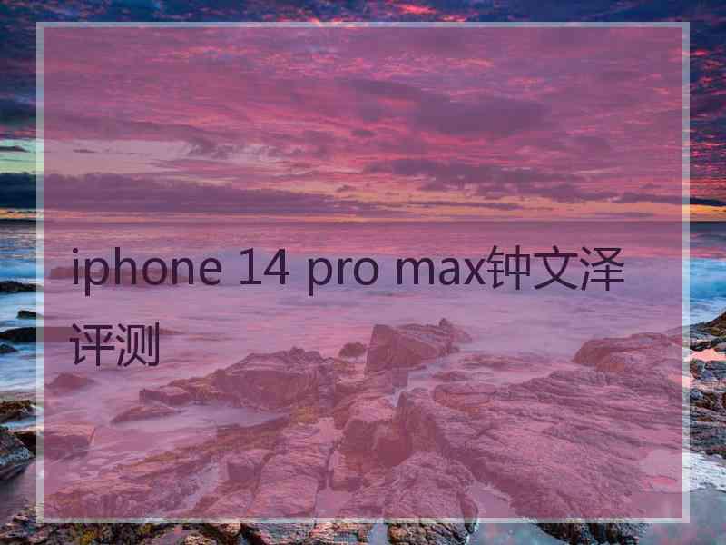 iphone 14 pro max钟文泽评测