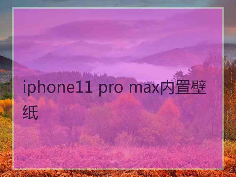 iphone11 pro max内置壁纸