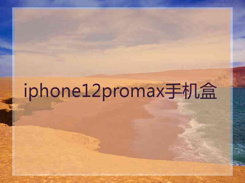 iphone12promax手机盒