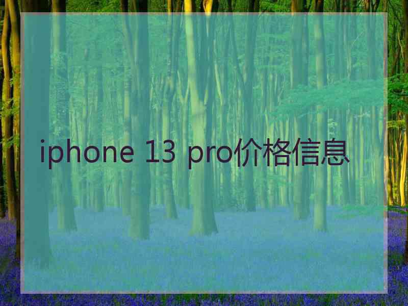 iphone 13 pro价格信息