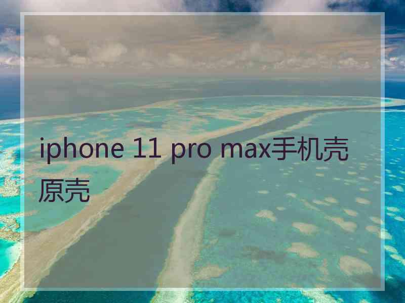 iphone 11 pro max手机壳原壳