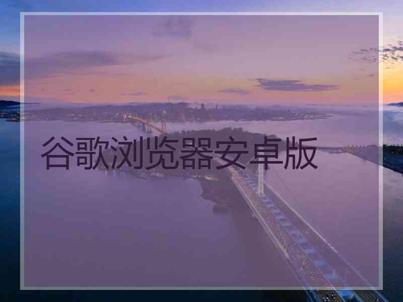 谷歌浏览器安卓版