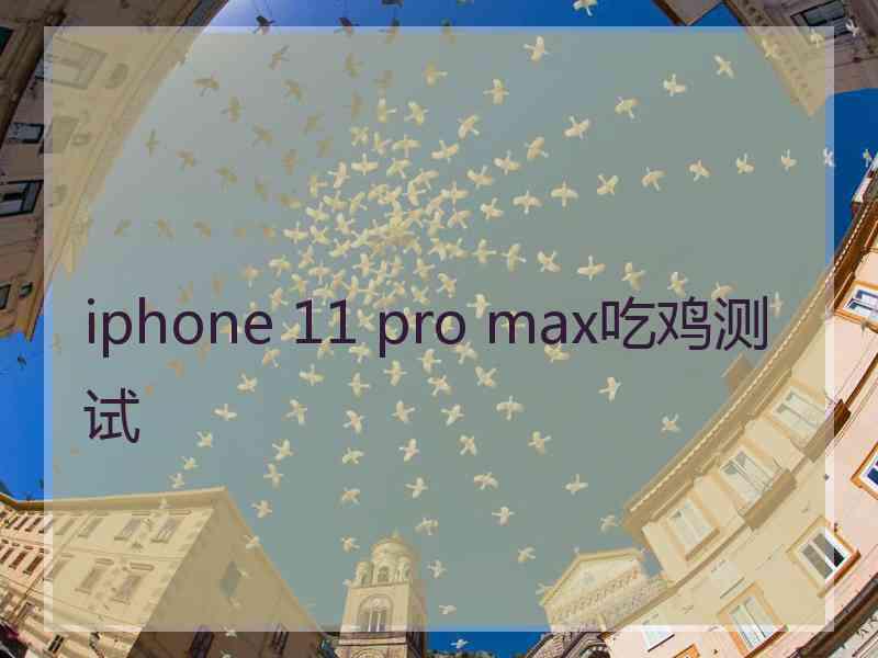 iphone 11 pro max吃鸡测试