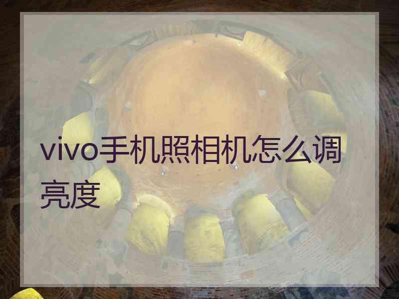 vivo手机照相机怎么调亮度