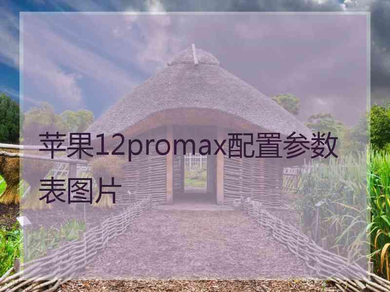 苹果12promax配置参数表图片