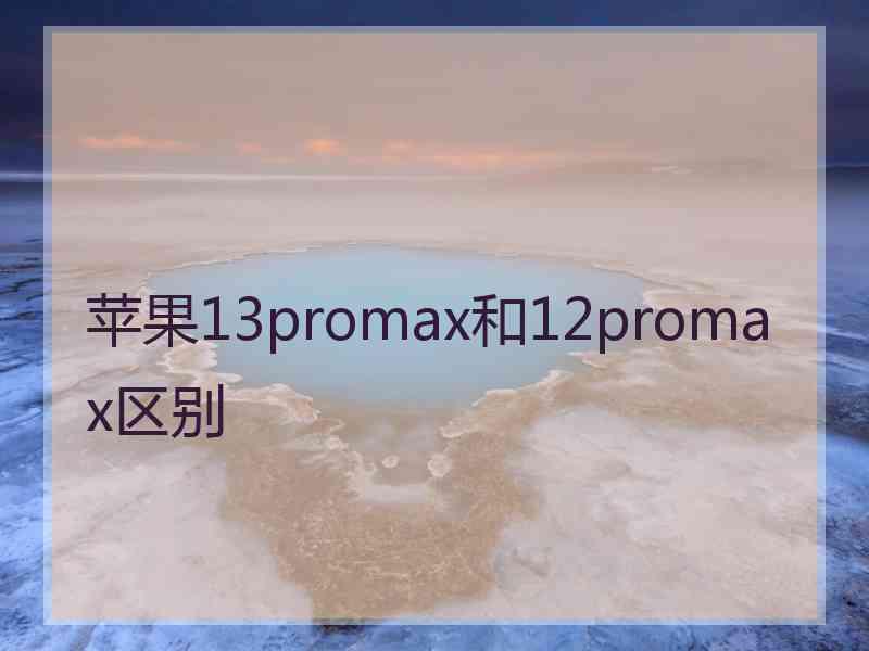 苹果13promax和12promax区别