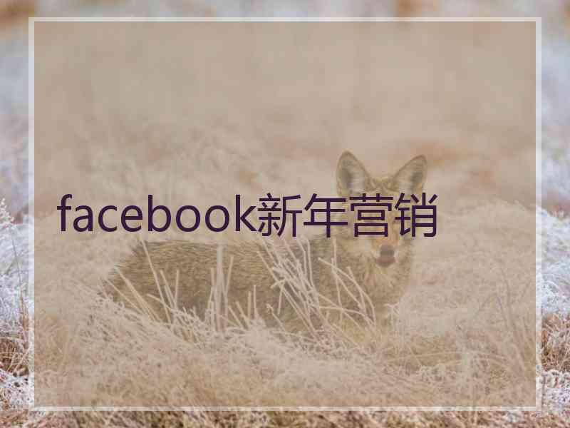 facebook新年营销