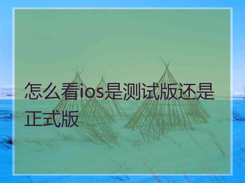 怎么看ios是测试版还是正式版