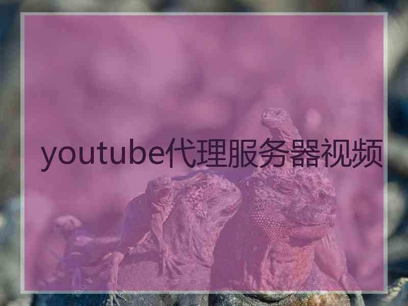 youtube代理服务器视频