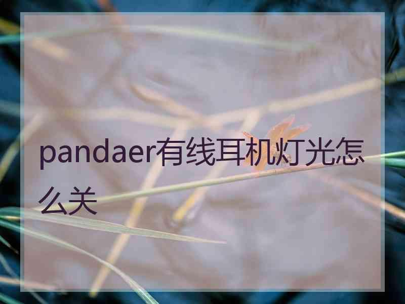 pandaer有线耳机灯光怎么关