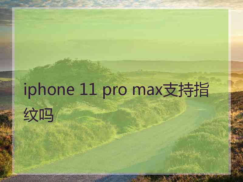 iphone 11 pro max支持指纹吗