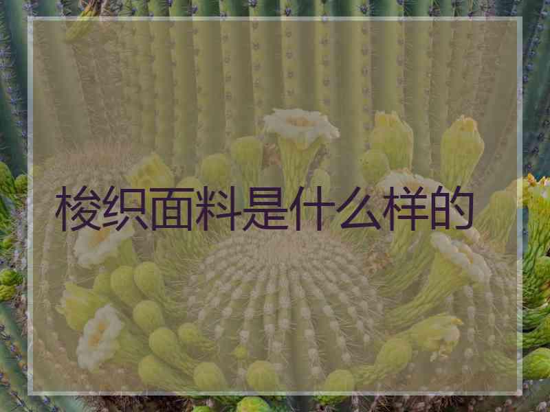 梭织面料是什么样的