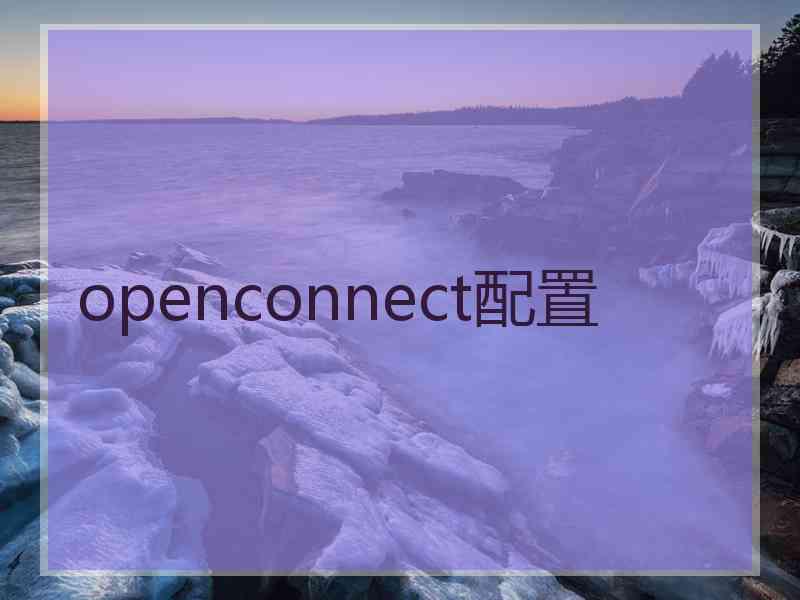 openconnect配置