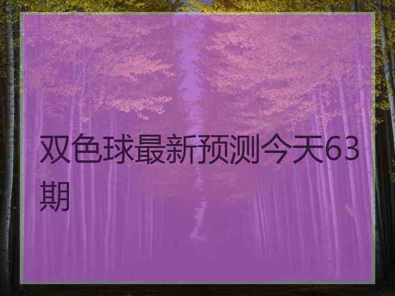 双色球最新预测今天63期