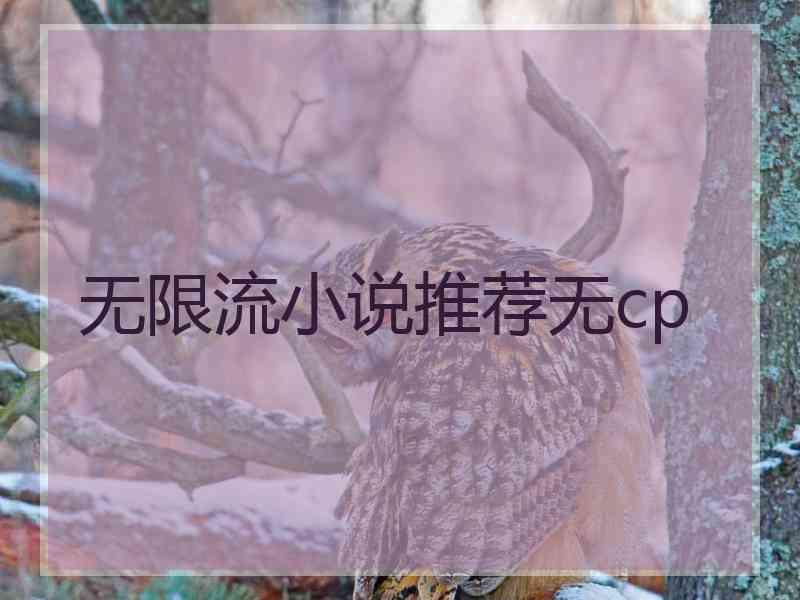 无限流小说推荐无cp