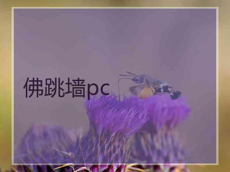 佛跳墙pc