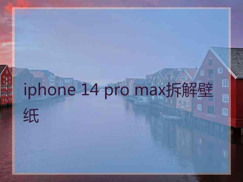 iphone 14 pro max拆解壁纸