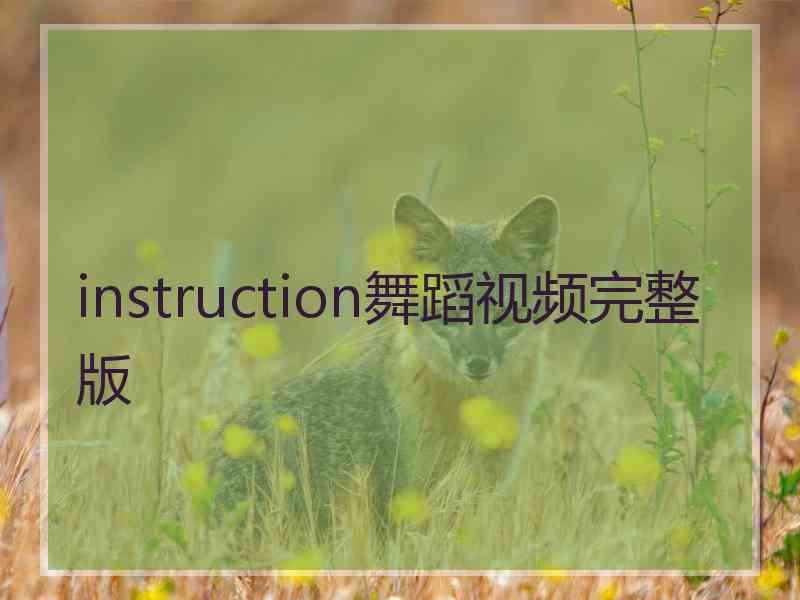 instruction舞蹈视频完整版