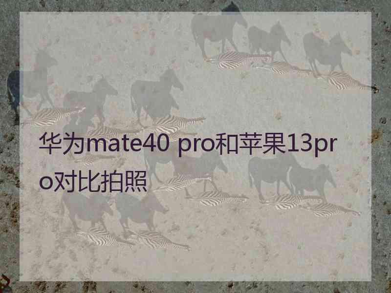 华为mate40 pro和苹果13pro对比拍照