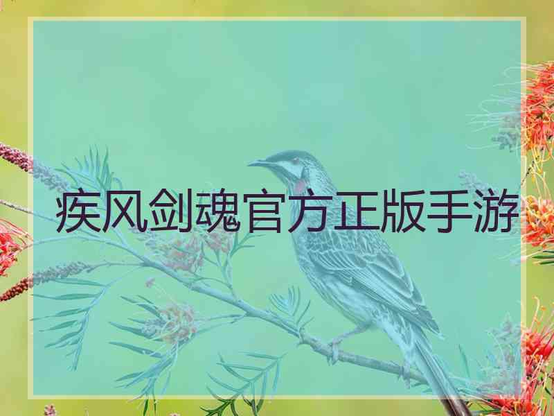 疾风剑魂官方正版手游