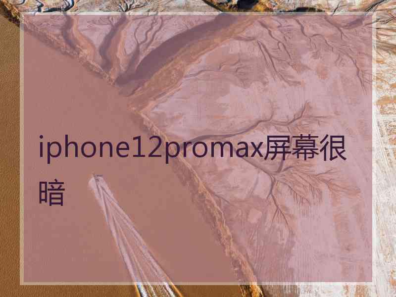 iphone12promax屏幕很暗