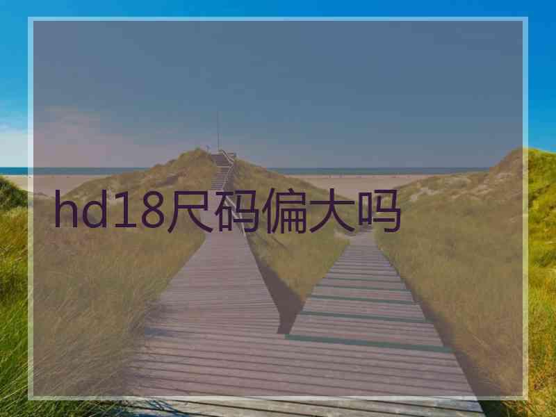 hd18尺码偏大吗