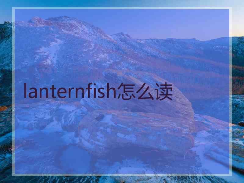 lanternfish怎么读