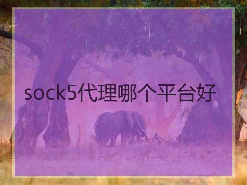 sock5代理哪个平台好