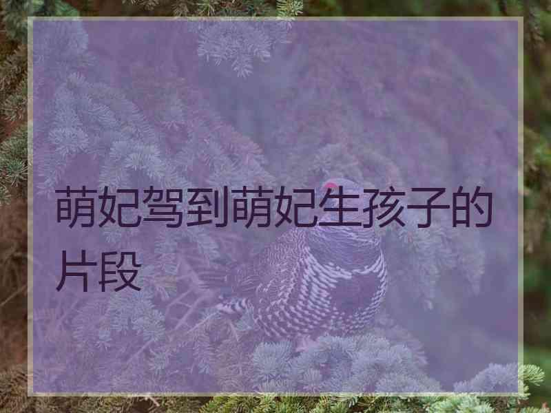 萌妃驾到萌妃生孩子的片段