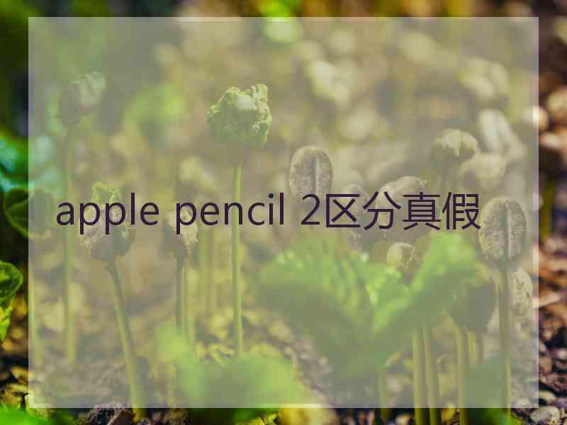 apple pencil 2区分真假