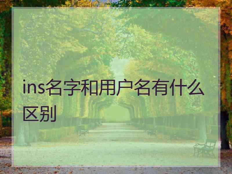 ins名字和用户名有什么区别