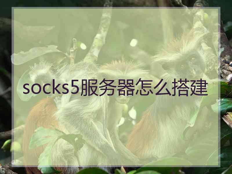 socks5服务器怎么搭建