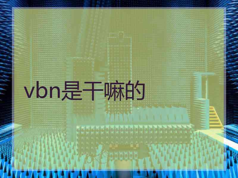 vbn是干嘛的