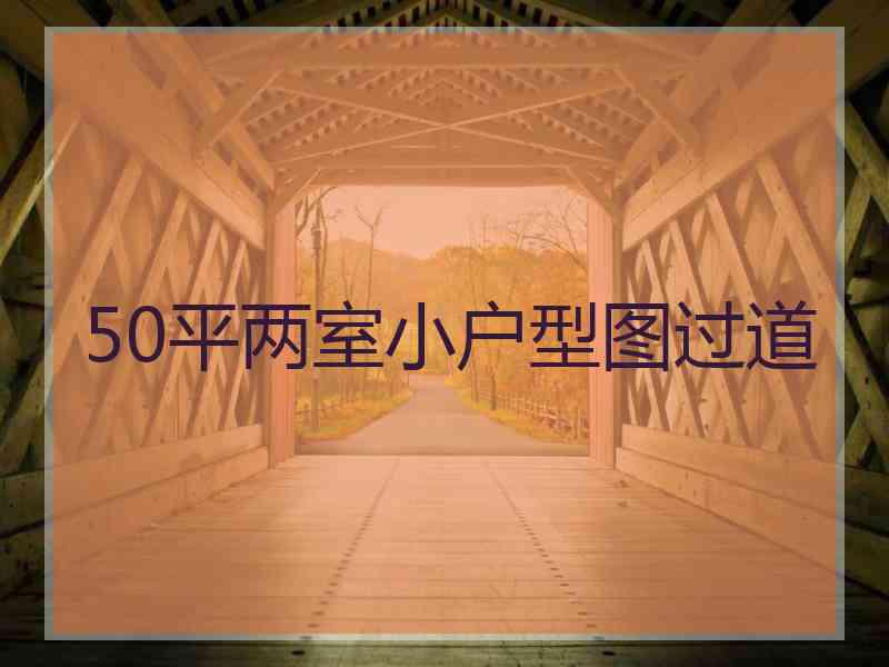 50平两室小户型图过道