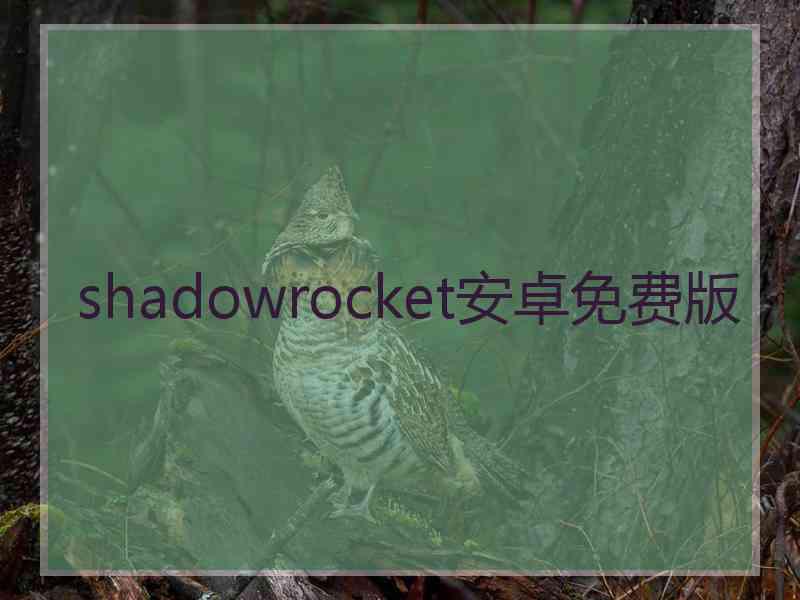 shadowrocket安卓免费版